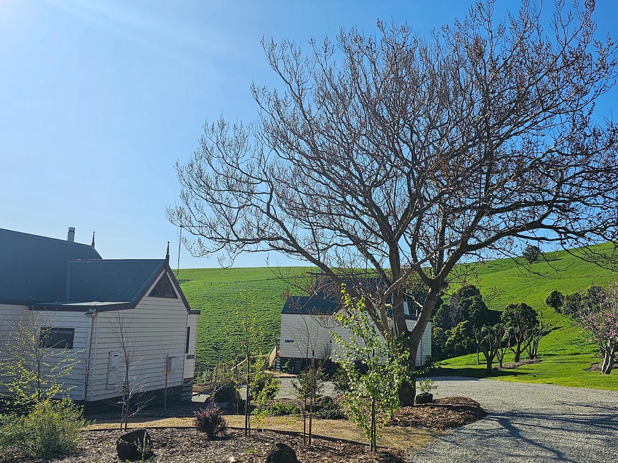 Maple Ridge Cottages Dumbalk 외부 사진